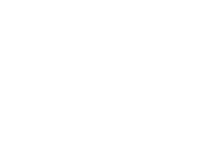BAPPENAS